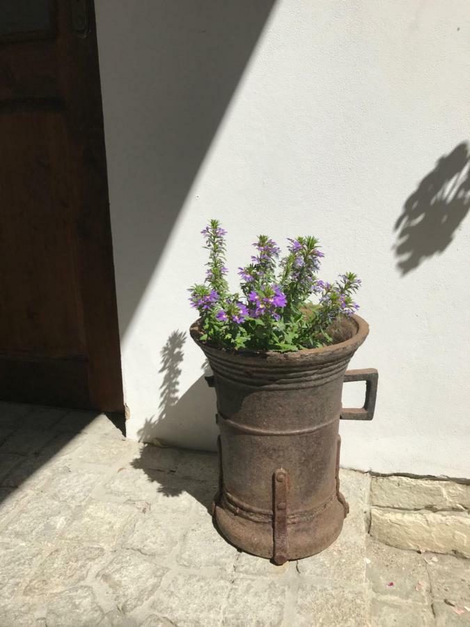 Budyne Apartment Budyne nad Ohri المظهر الخارجي الصورة
