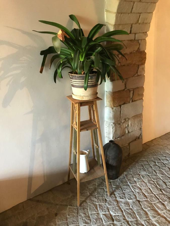 Budyne Apartment Budyne nad Ohri المظهر الخارجي الصورة