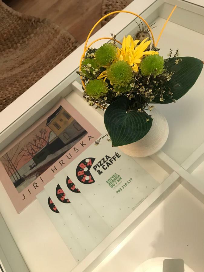 Budyne Apartment Budyne nad Ohri المظهر الخارجي الصورة